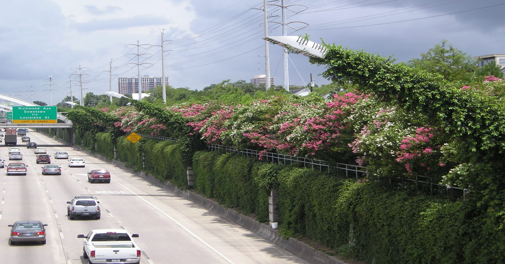 Case Study: Trees for Houston