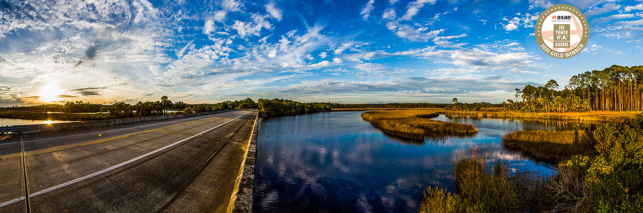 scenic walton 30A illustration