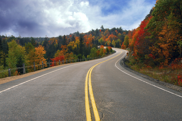 Benefits of Tree conservation include keeping beautiful treelined roads. Long winding road runs through orange and green fall trees.