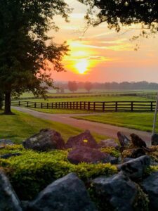 Bluegrass-Evening_Elizabeth-Troitino_small