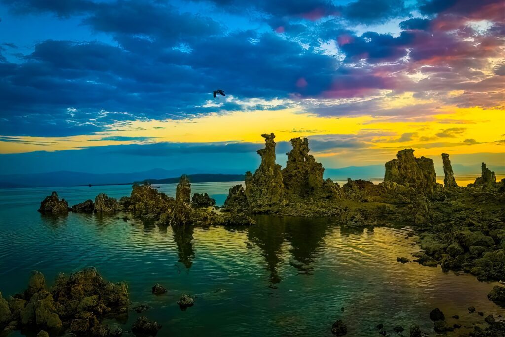 Image gallery image