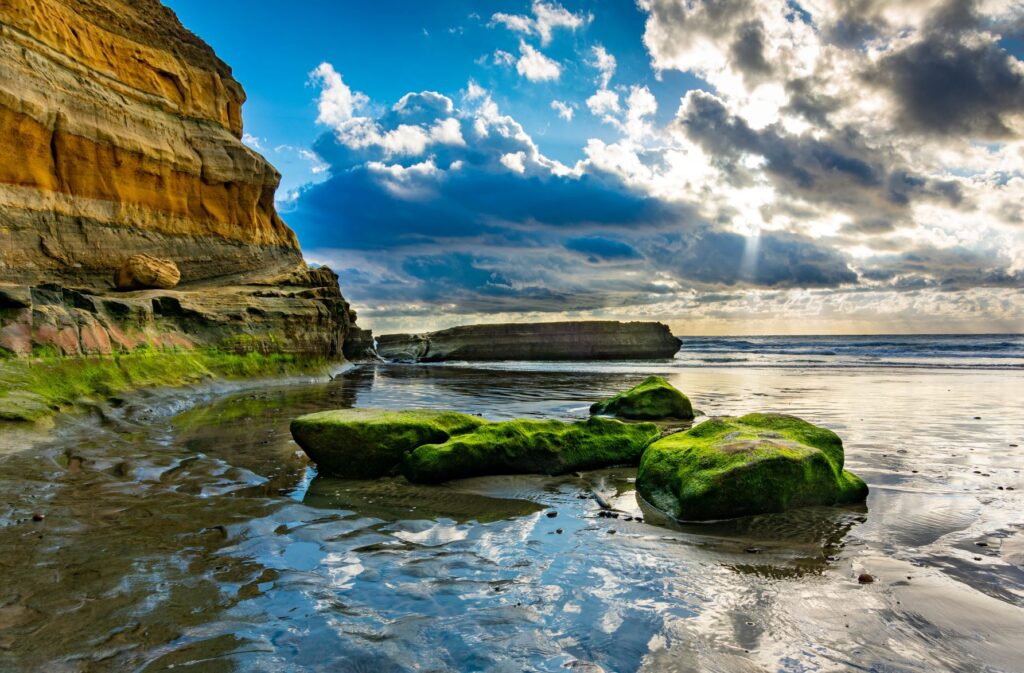 Image gallery image