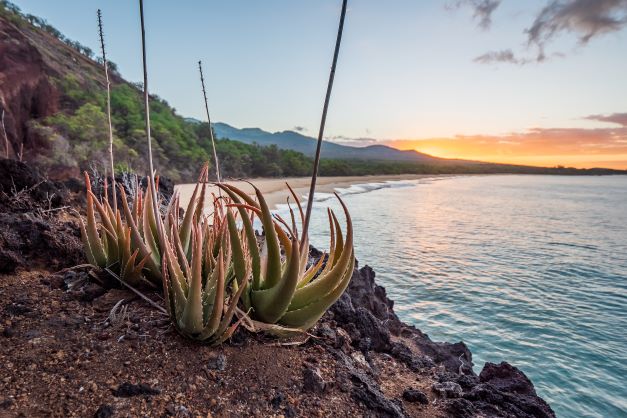 Hawaii