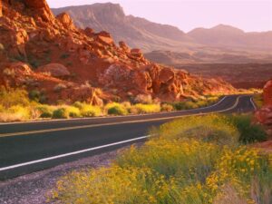 valley-of-fire-state-park-nevada – with flowers