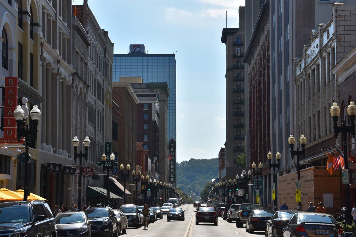 Case Study Knoxville's Tree Mitigation Bank Scenic America