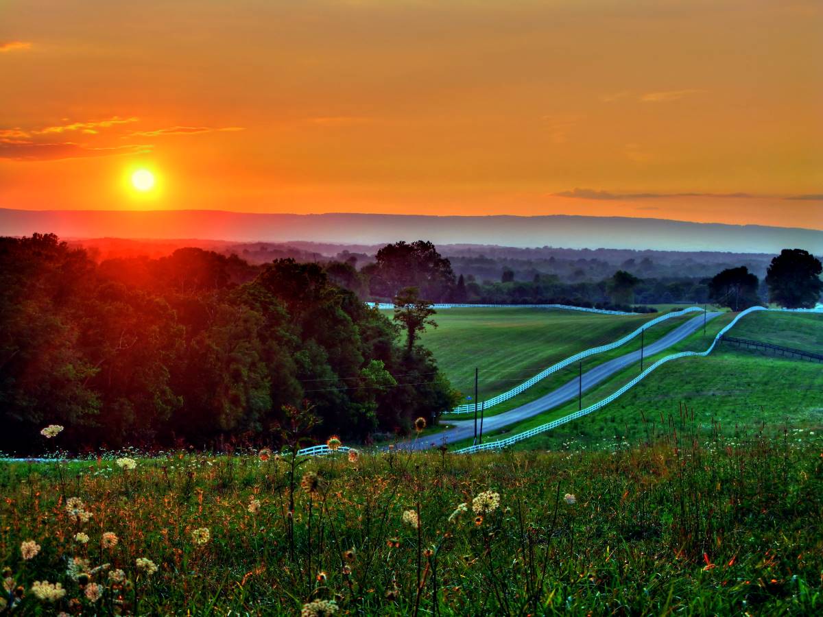 Saving Snickersville Turnpike