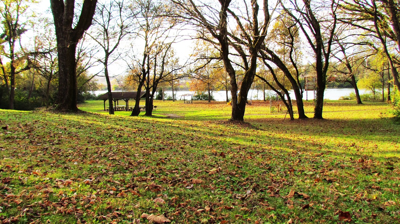 Case Study: Knoxville's Tree Bank