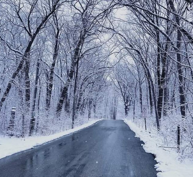 Winter Wonders: Discover the Best Scenic Winter Drives Across America