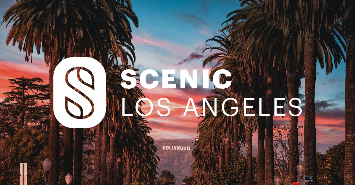 A Statement from Scenic America and Scenic Los Angeles on Metro’s Transportation Communications Network