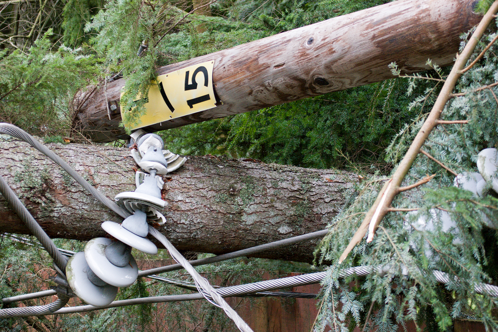 Preparing for Natural Disasters: How Utility Undergrounding Can Help