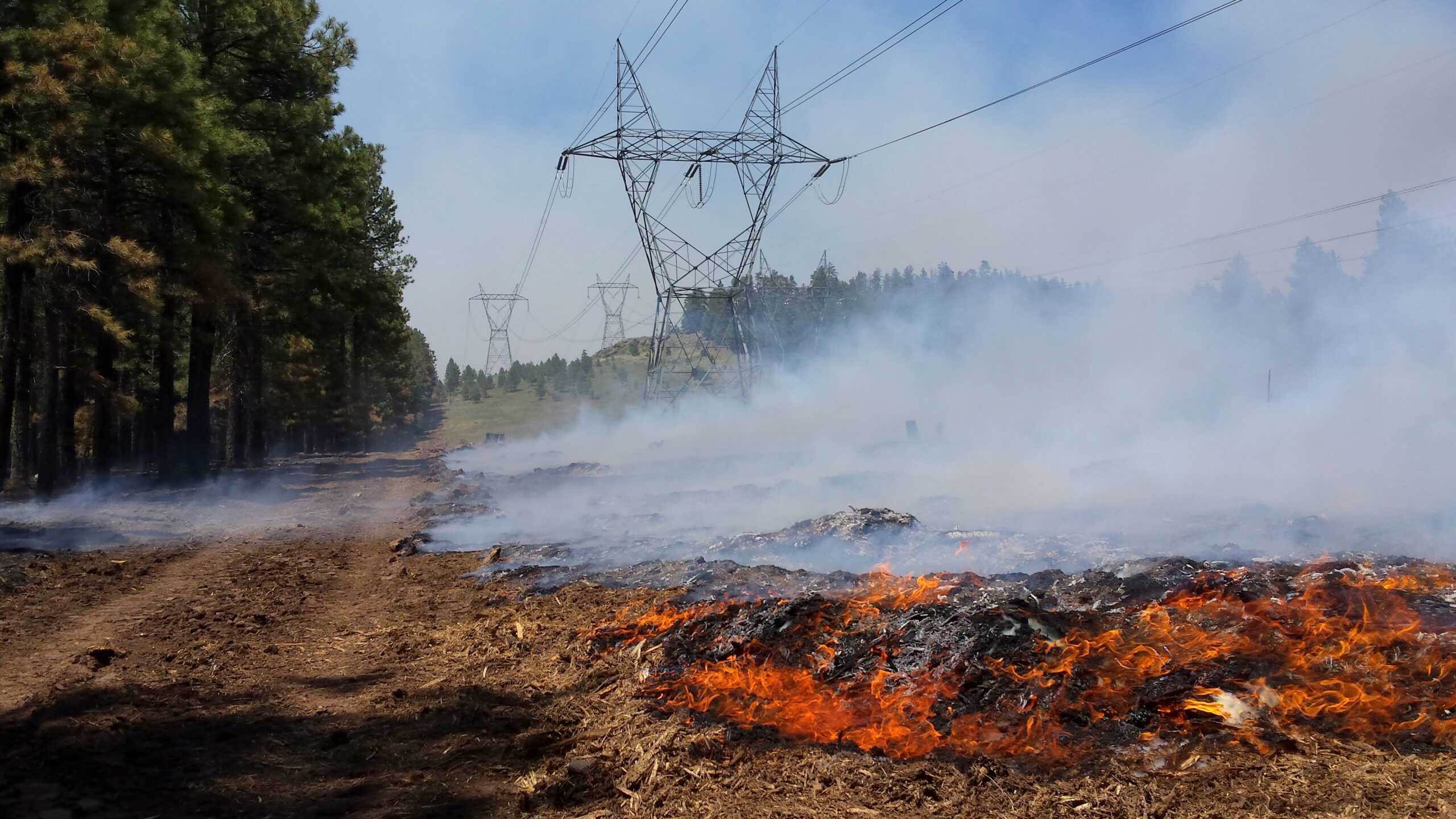 Another Case for Undergrounding: Largest Wildfire in Texas History Caused by Utility Equipment