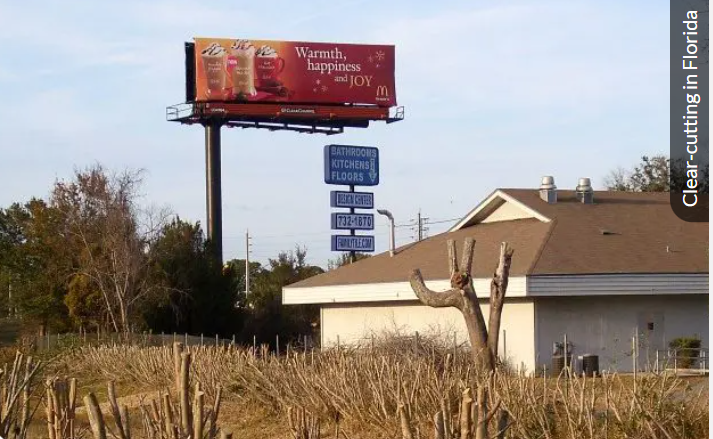 DeFuniak Springs Billboard Ordinance