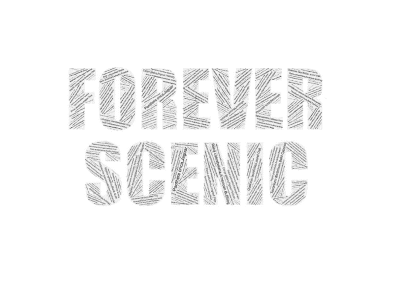 Forever Scenic Program