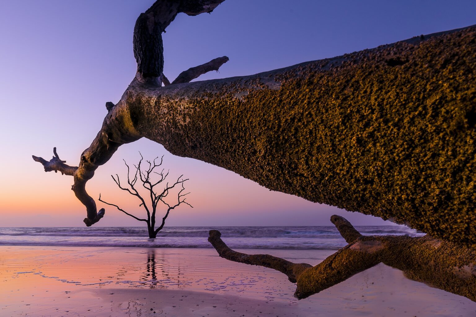 Announcing the winners of Scenic America’s 2025 photo contest | Scenic ...